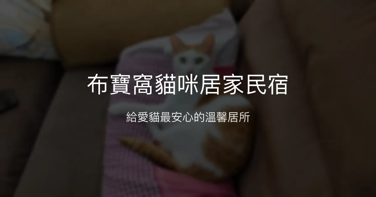 布寶窩貓咪居家民宿評價、特色照護體驗、價格資訊、訂房連結 - 專屬貓咪溫馨照護