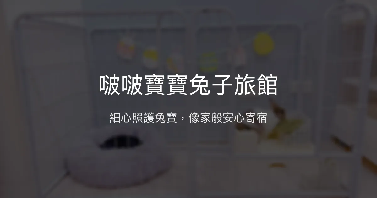 啵啵寶寶兔子旅館評價、特色照護、寄宿體驗、價格資訊 - 用心守護兔兔的溫馨寄宿